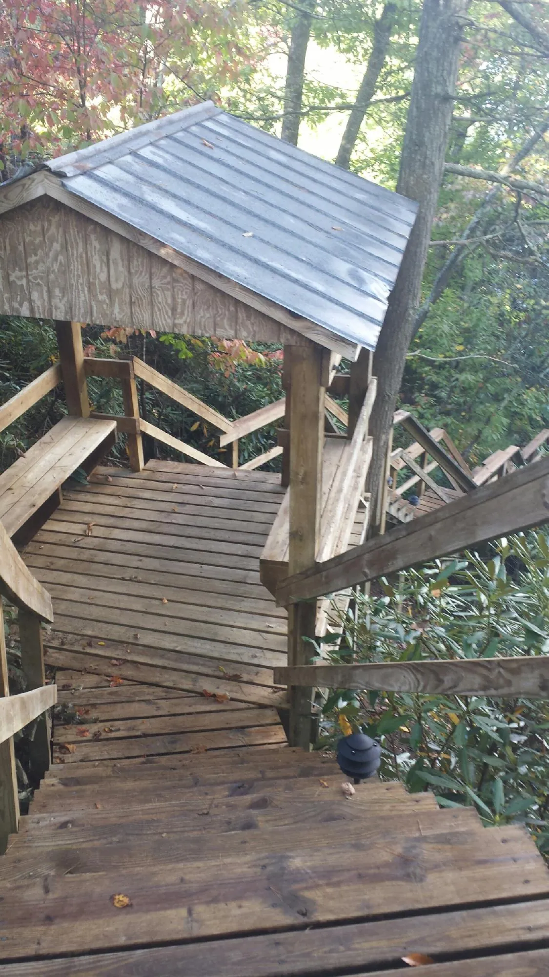 Metal roofed shelter over wooden steps on a wooded walkway — Skylight Repair & Installation work by our crew in San Lorenzo