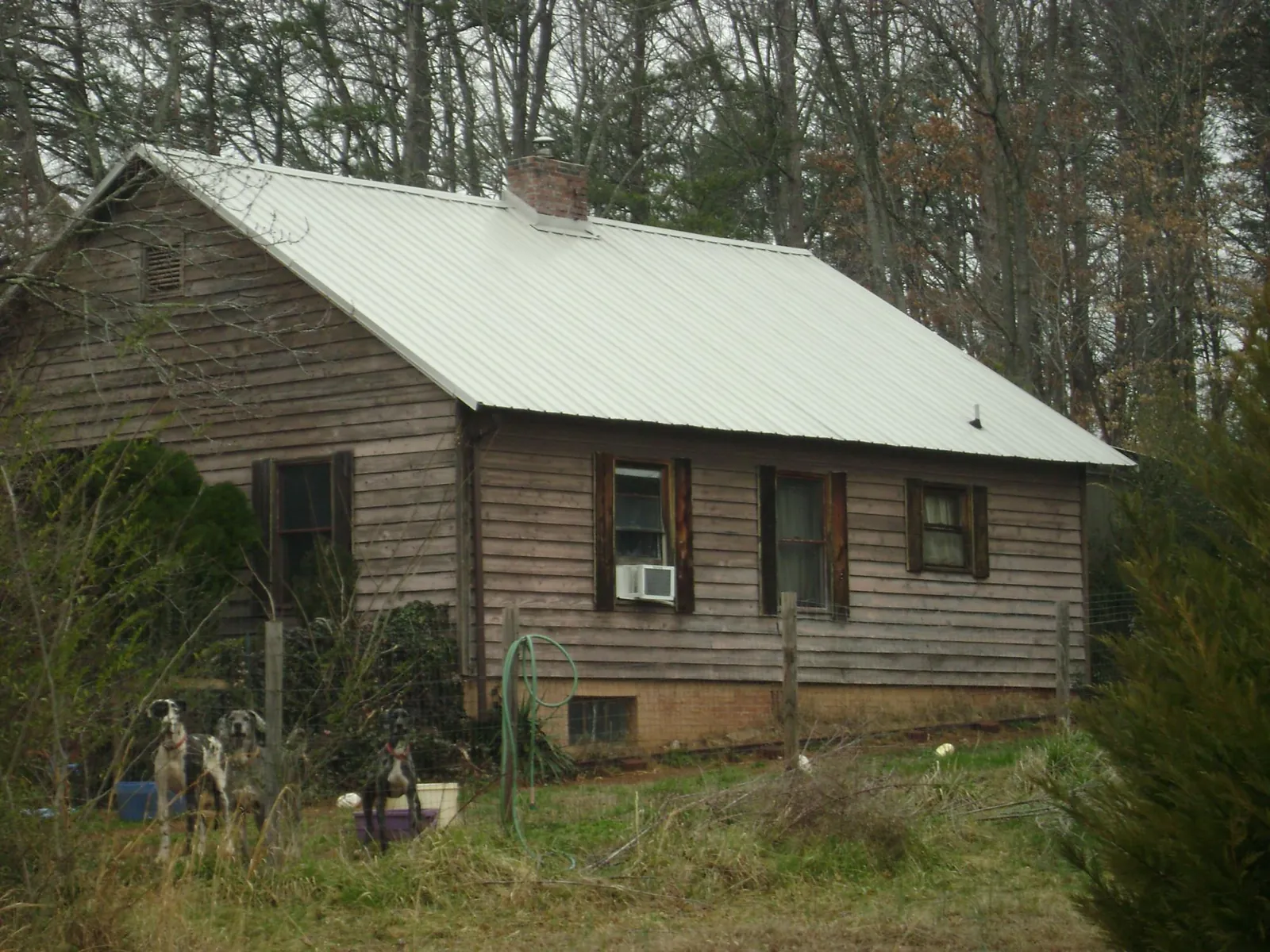 White metal roof on an old wood sided farmhouse, from a Asphalt Shingle Roof Repair job in San Lorenzo